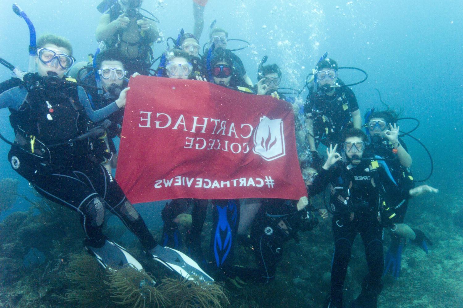 学生们手持<a href='http://dojd.ngskmc-eis.net'>博彩网址大全</a>旗帜，在j学期洪都拉斯游学之旅中潜水.